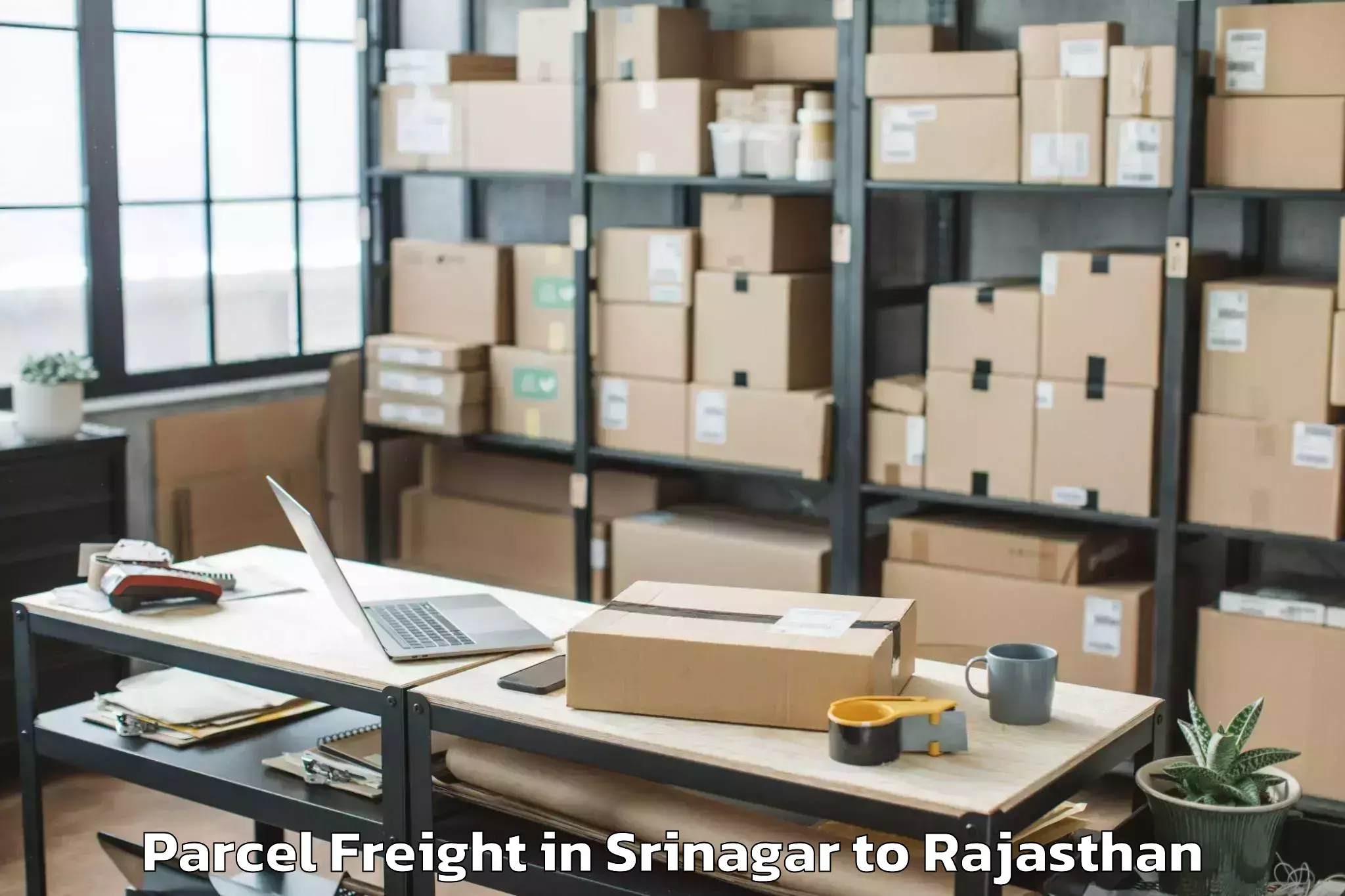 Affordable Srinagar to Jecrc University Jaipur Parcel Freight